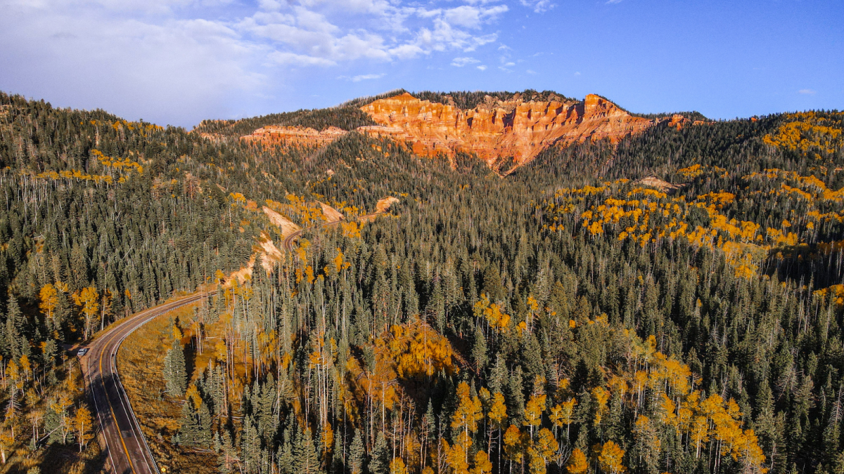 Fall in Cedar Canyon