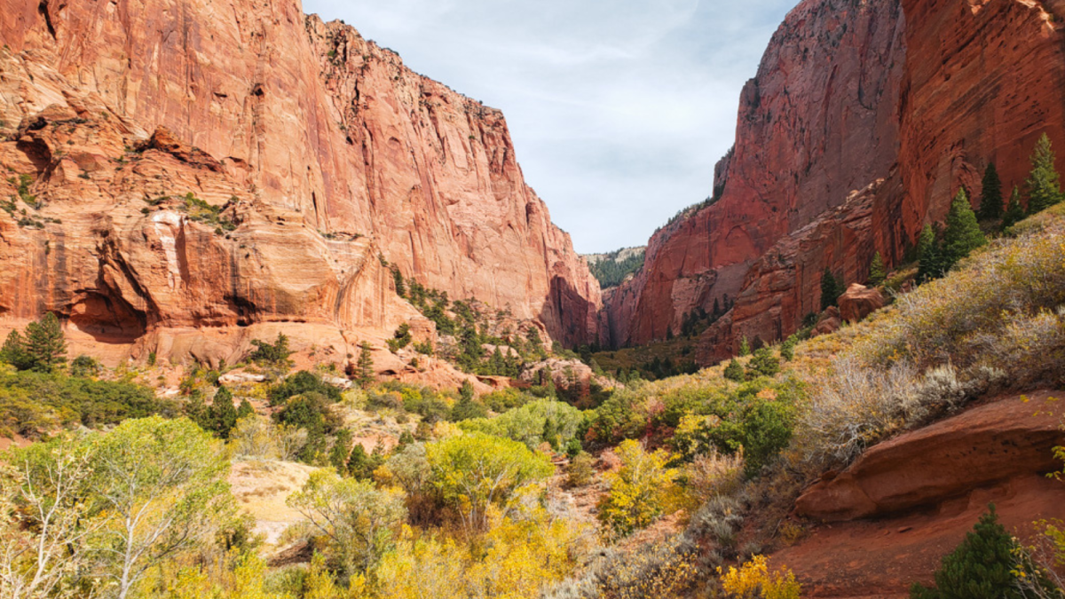 Fall Color - Kolob Canyons