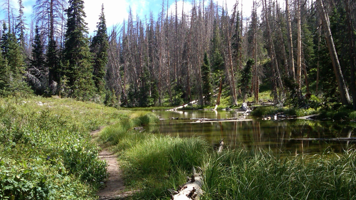 Alpine Pond Loop Trail