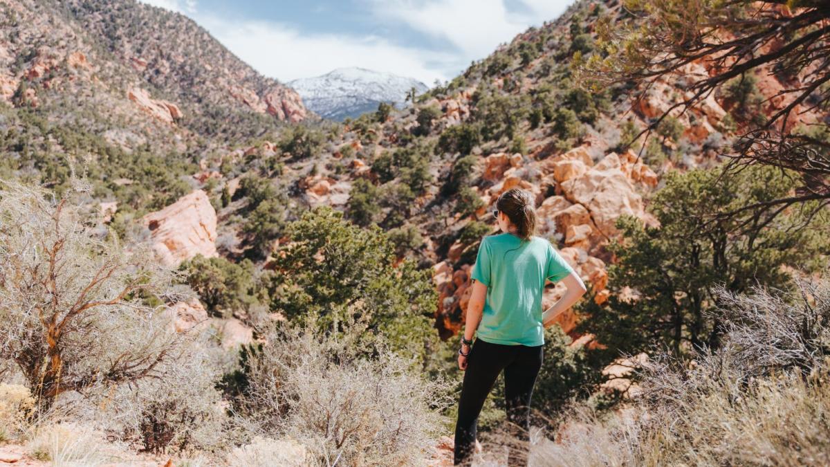 Spring in Cedar City and Brian Head