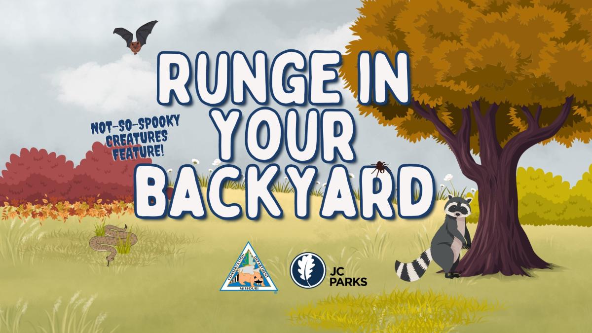 runge in your backyard