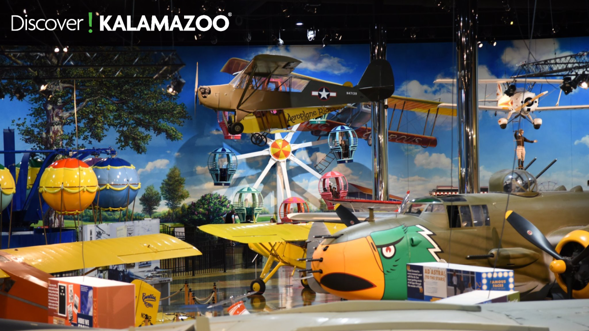Air Zoo Zoom Background