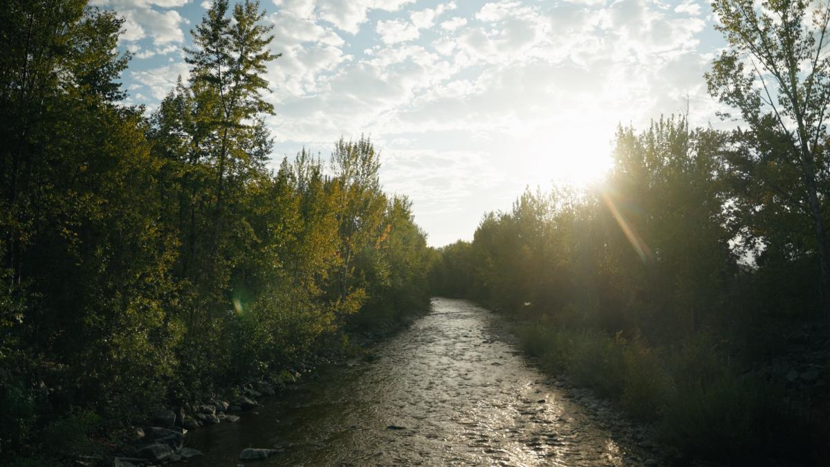 Mission Creek