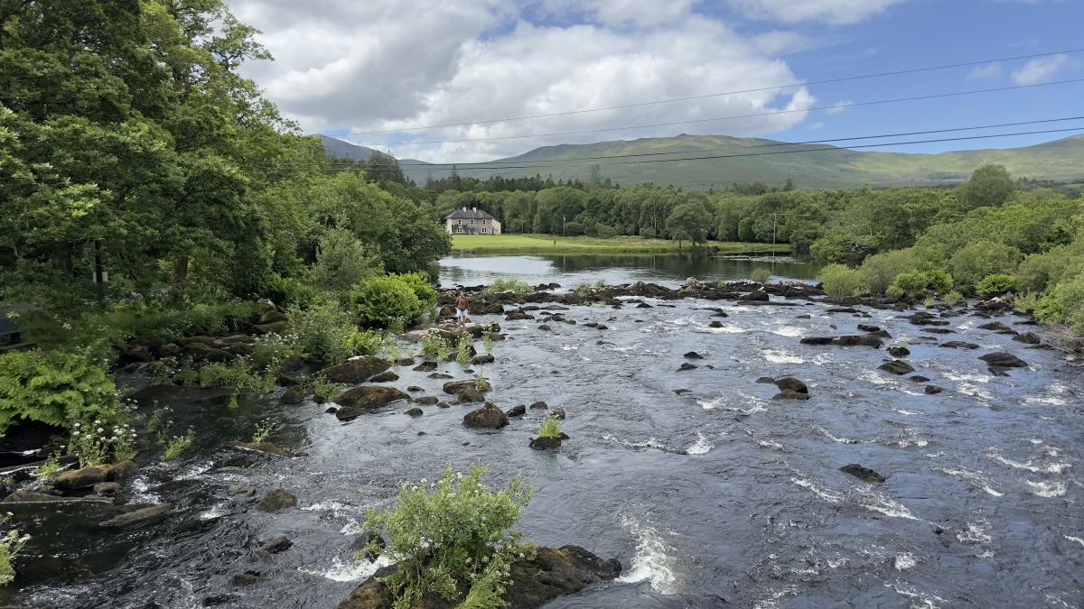 Lickeen forest river
