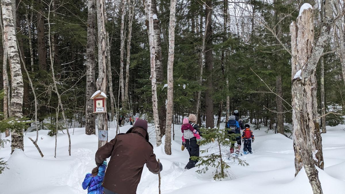a family snowshoes in the woods