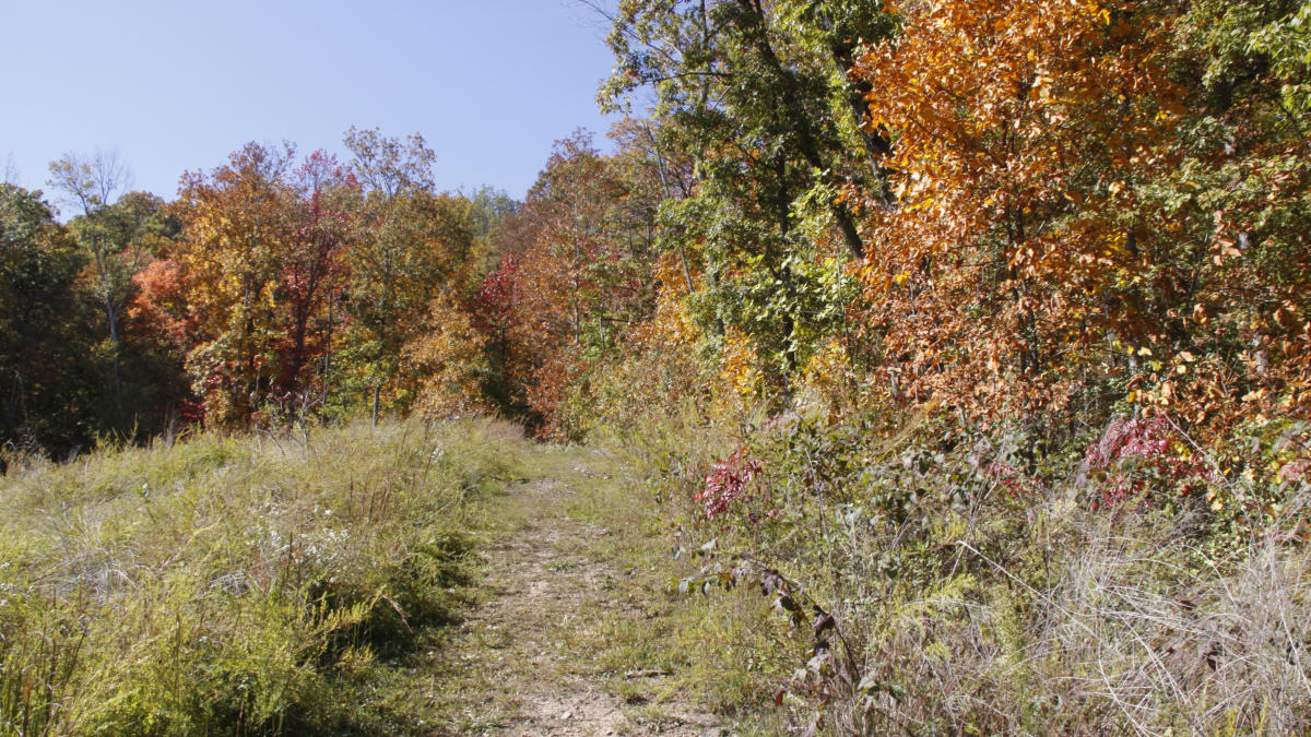 New Harvest Park