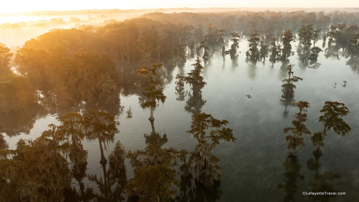 Ben Pierce - Aerial Photo / Lake Martin · Breaux Bridge, LA