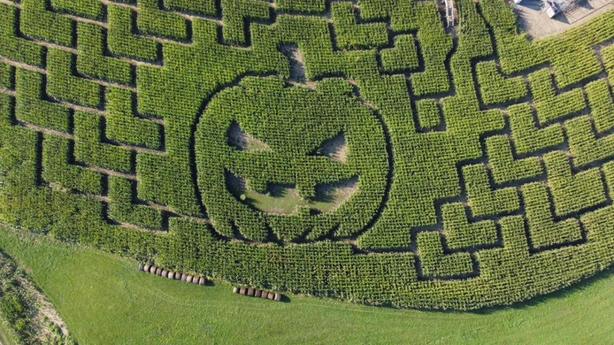 Pumpkin Patch Playground and Corn Maze