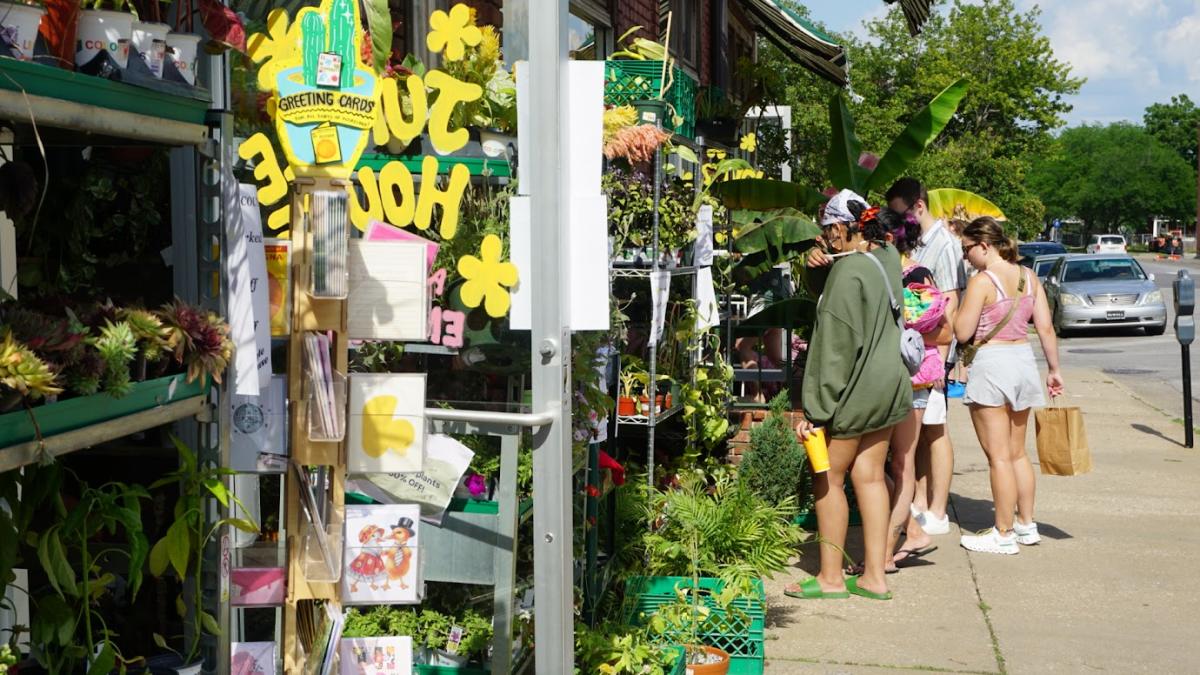 Jungle House Shopping