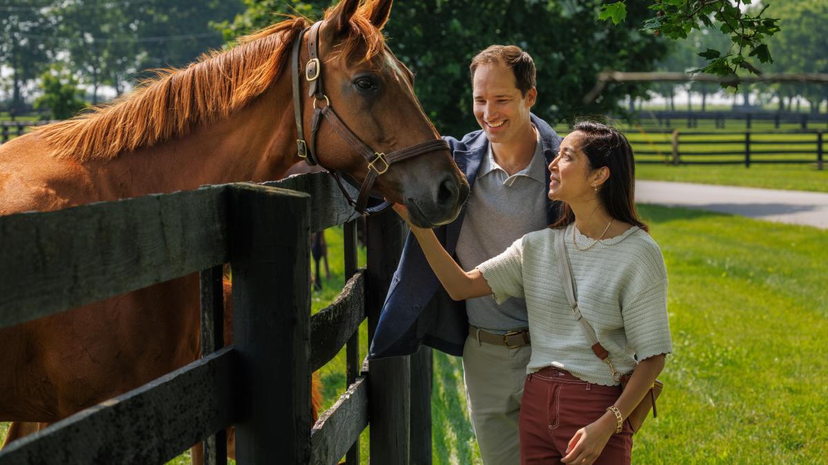 Horse