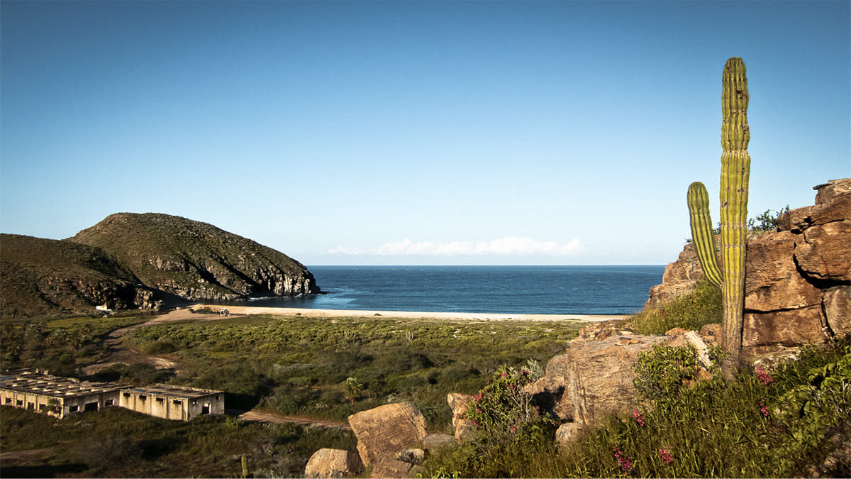 todos santos desert landscape