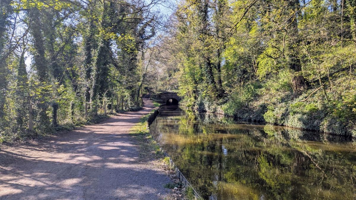 The Peak Forest Canal