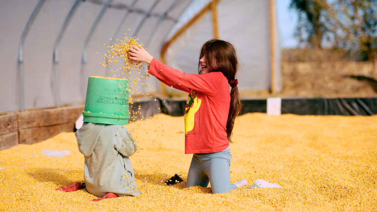Two children playing in the corn pit at A&H Farm.