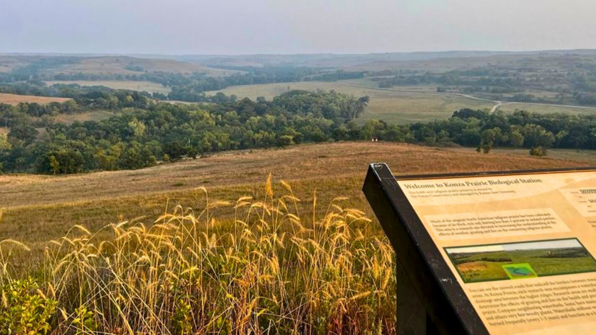 The Konza Prairie Lookout Sign