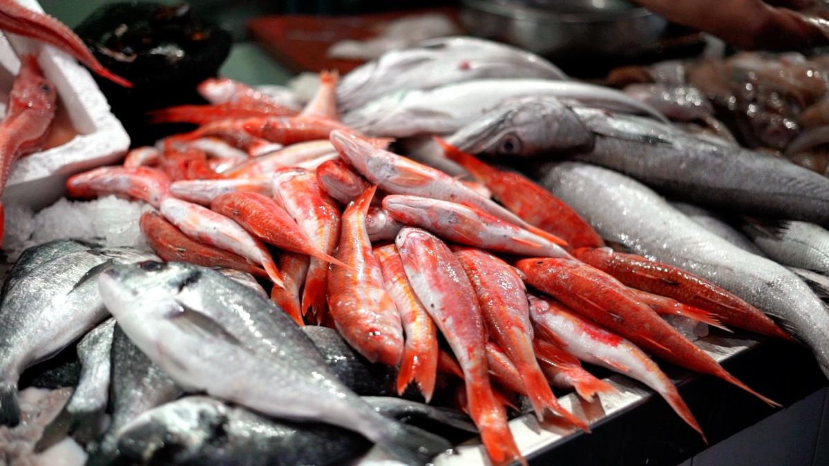 pescado