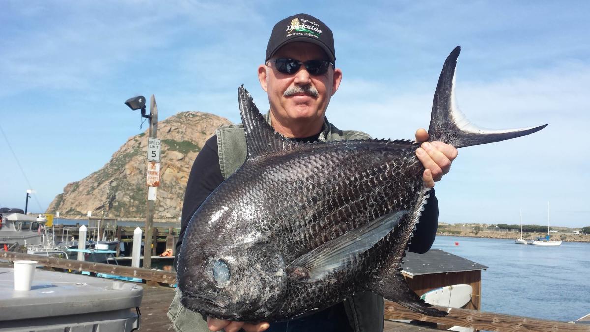 Meet the Ambassadors of Morro Bay!