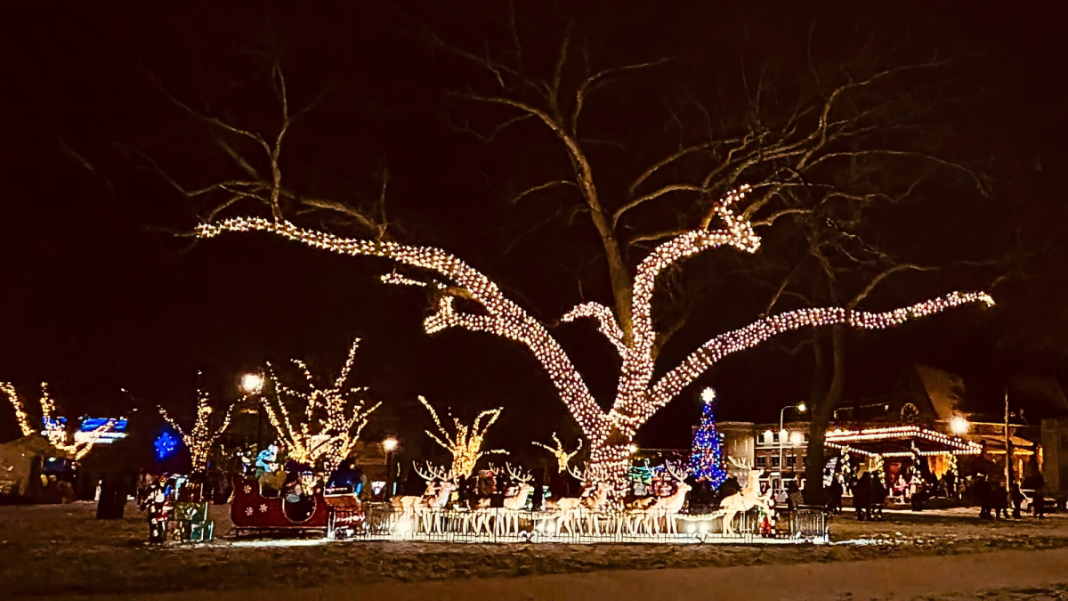 holiday Hackley park