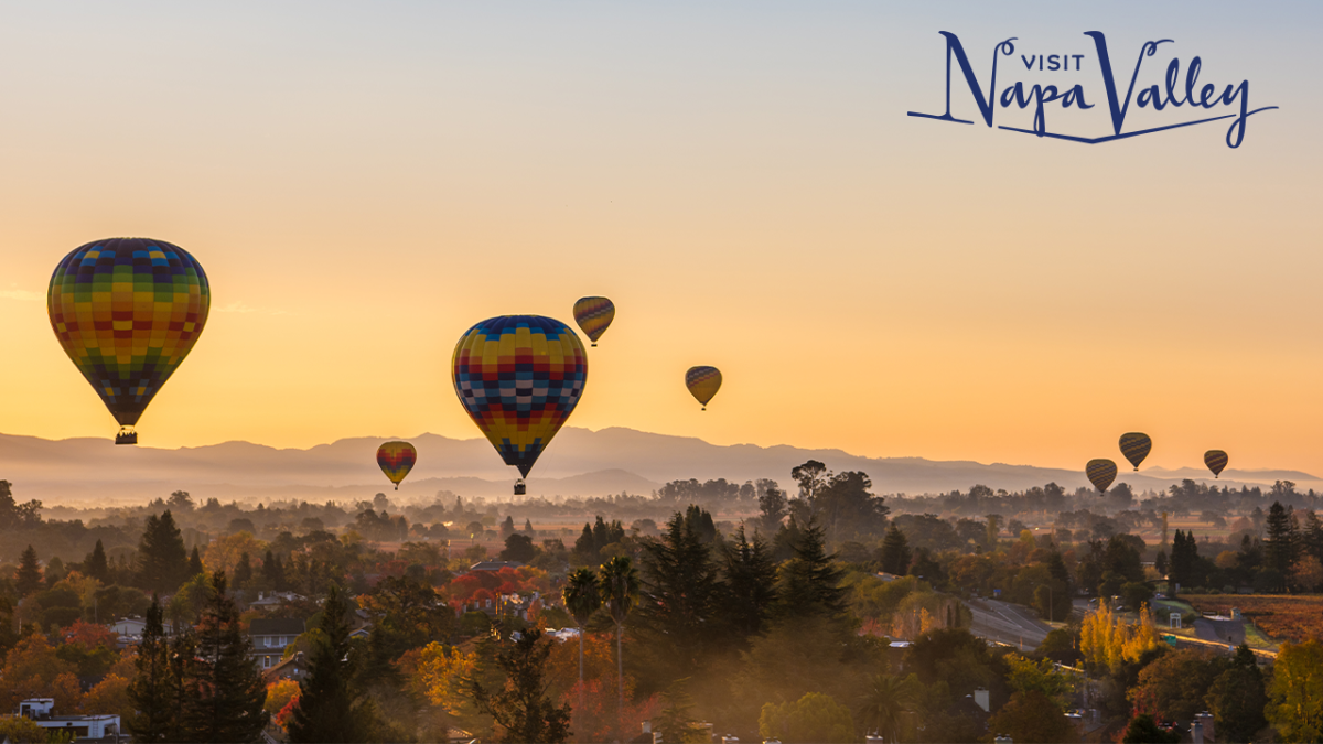Napa Valley Zoom Background Fall Hot Air Balloon Sunrise