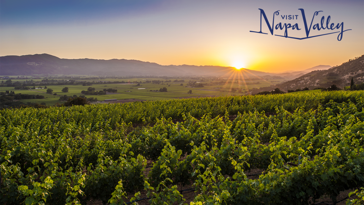 Napa Valley Zoom Background Summer Vineyards Sunset