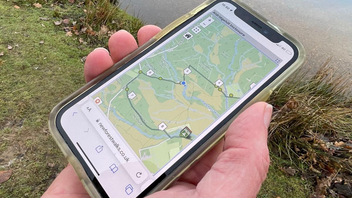 New Forest Walks App