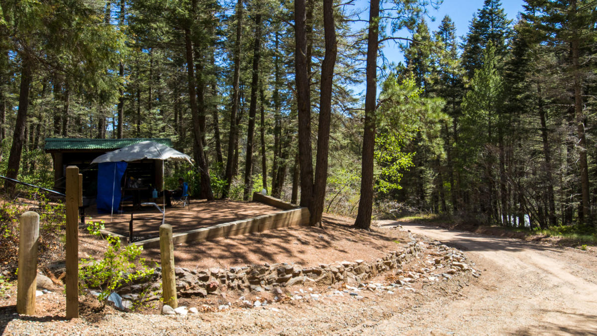 A small tent sits in a forested area under a clear sky, next to a dirt road.