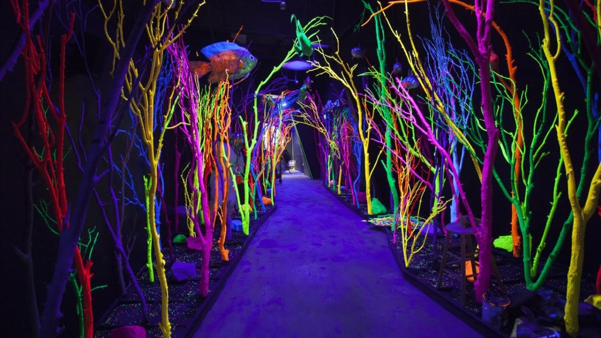 Video Thumbnail - youtube - The Meow Wolf Experience