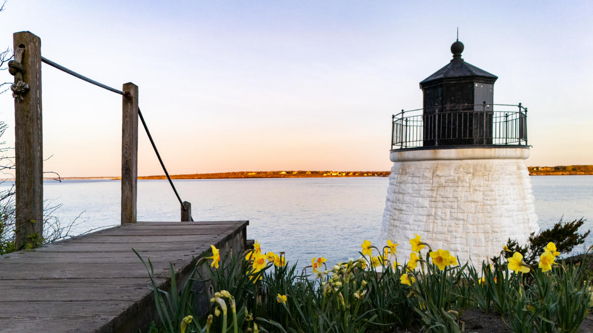 Newport Daffodil Days Castle Hill Lighthouse Sunset Flowers