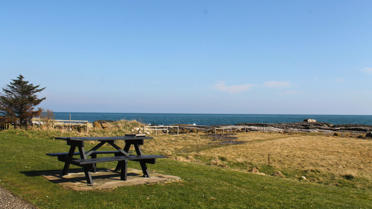 The view at Garron Point