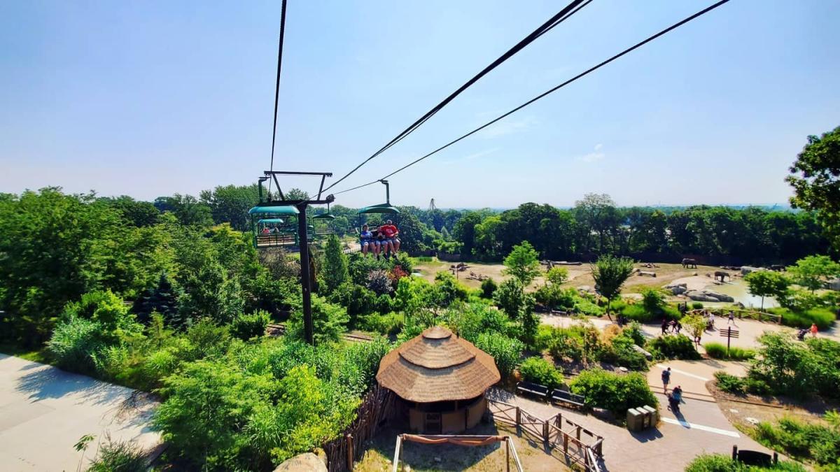 Zoo Skyline