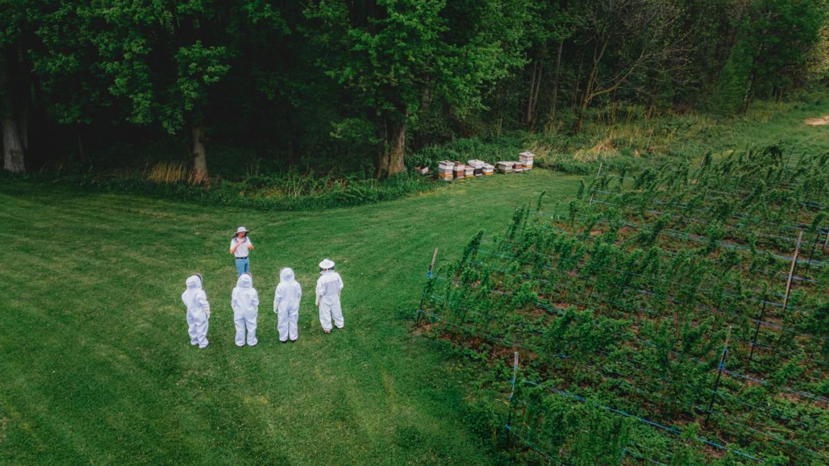 beekeepers at Thames River Melons