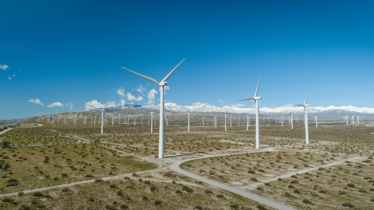 palm springs windmill tours