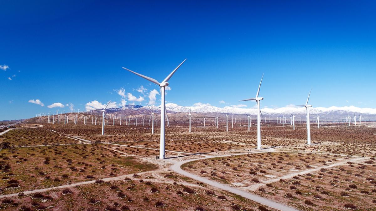 windmills