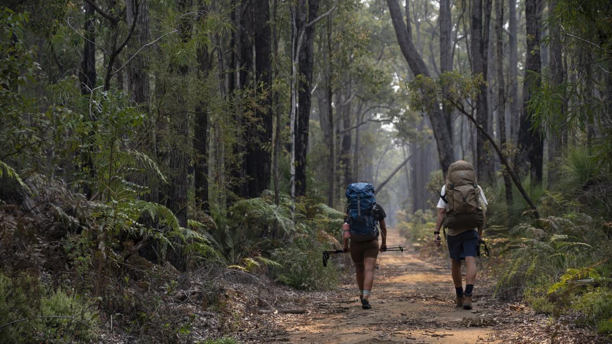 Hike the Bibbulmun Track, Perth Hills