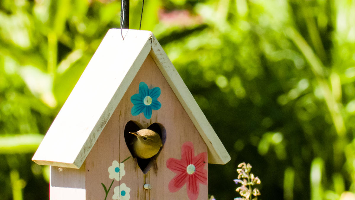 A yellow bird peeks out of a wooden birdhouse painted with flowers.