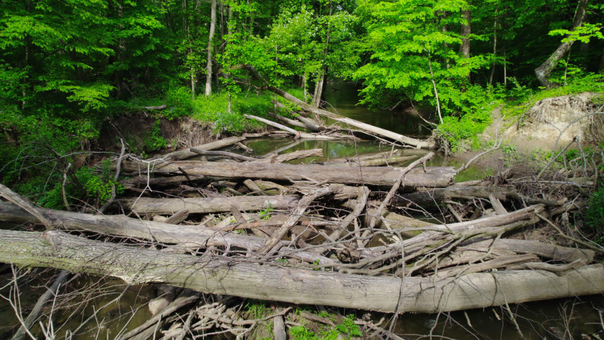 Log jam calumet river