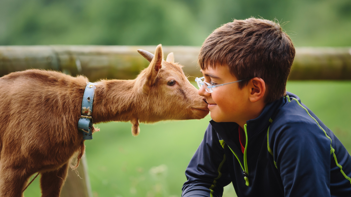 Kid on Farm