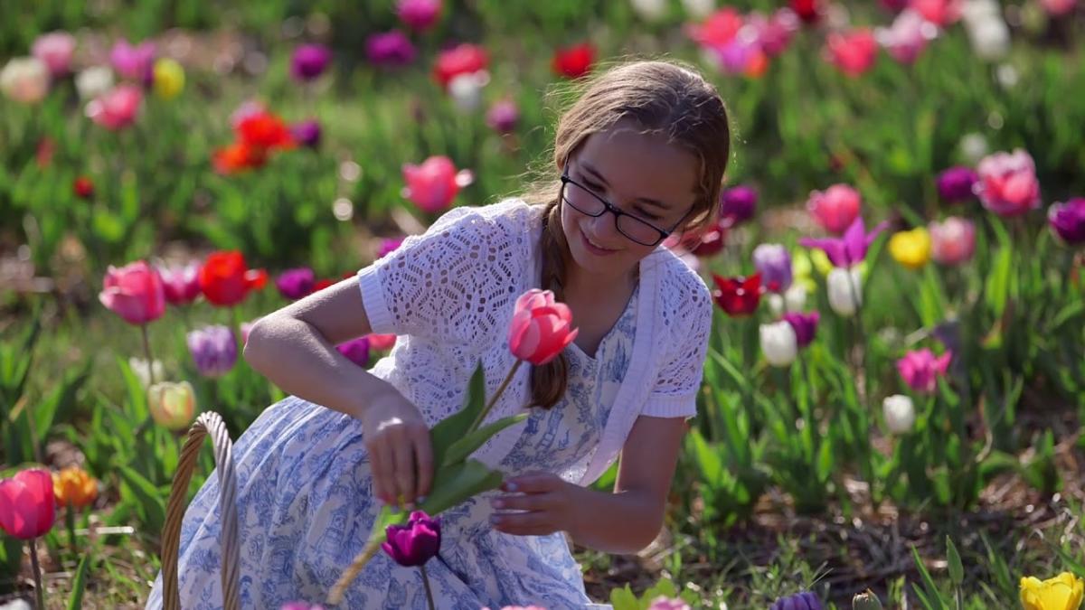 A girl wearing glasses looking at a flower in a field of tulips