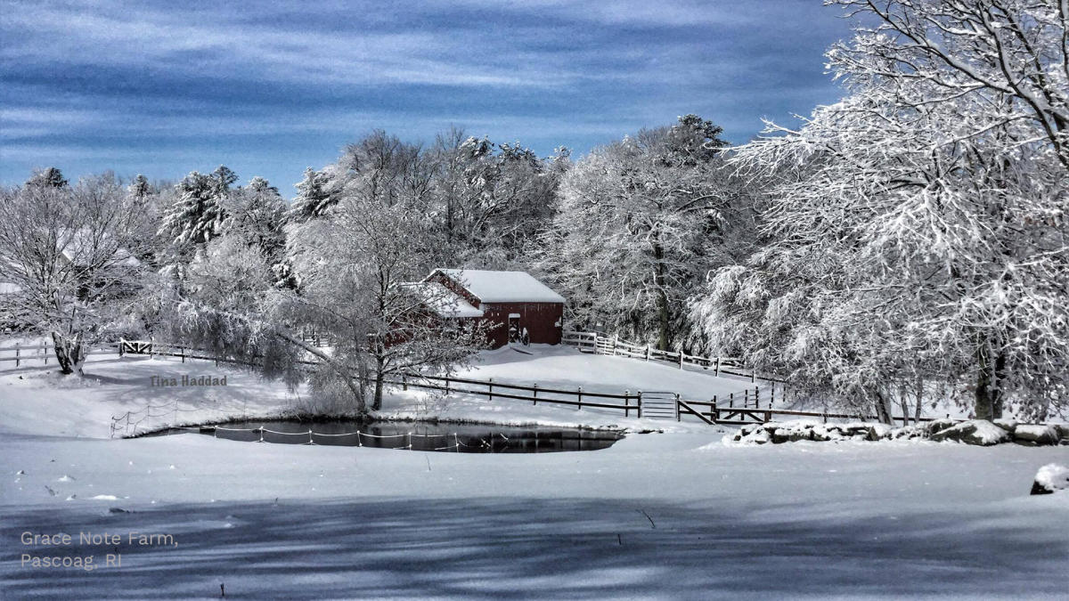Snowy farm in the trees with a frozen pond