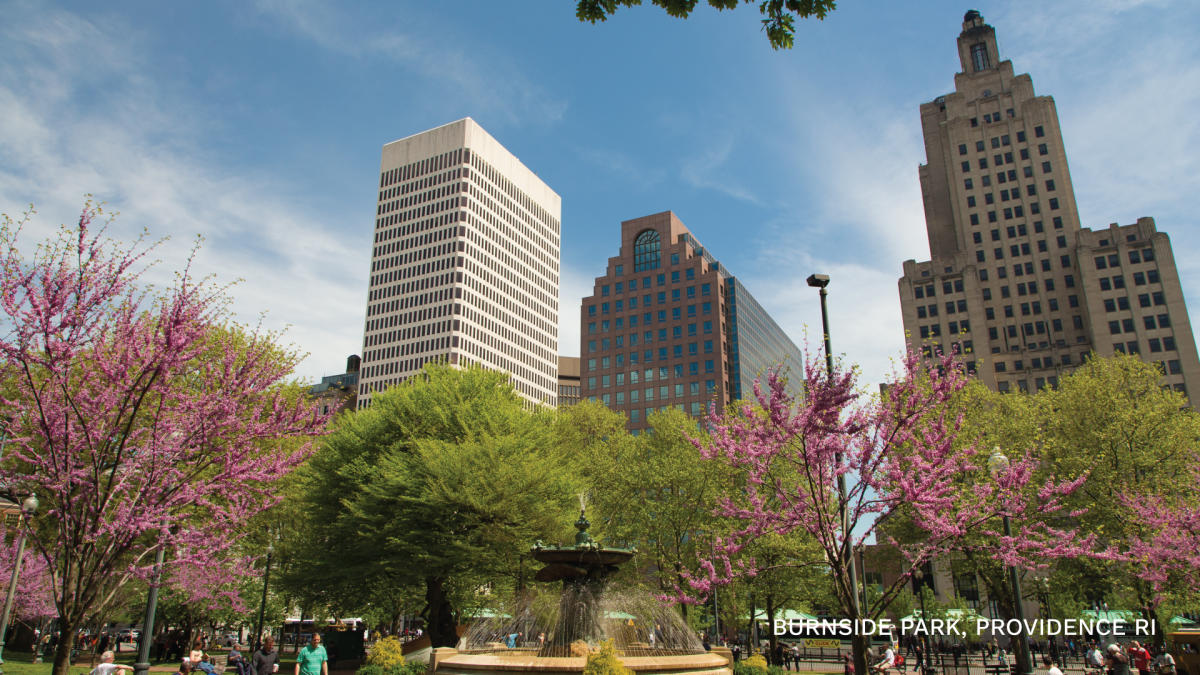 Blooming cherry trees surround a fountain with tall buildings in the background.
