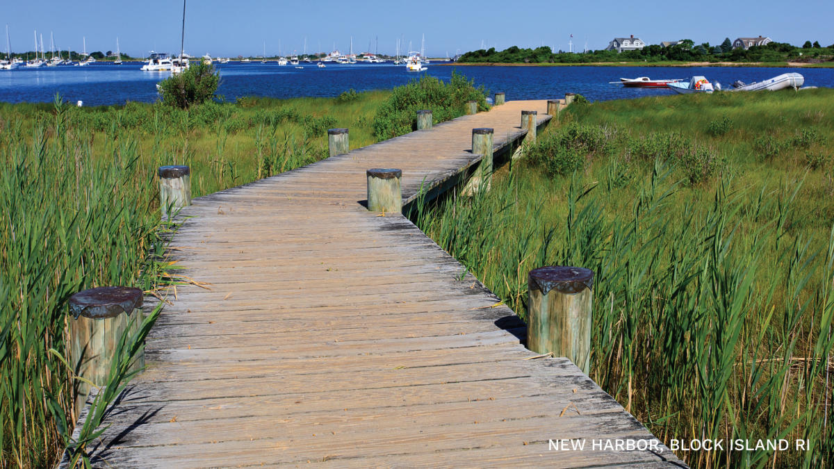 A wooden boardwalk flanked by tall grasses leading to cobalt blue water.