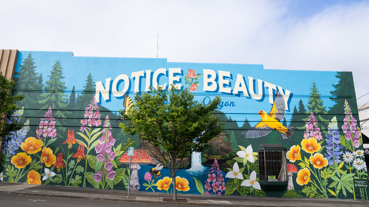 Notice Beauty