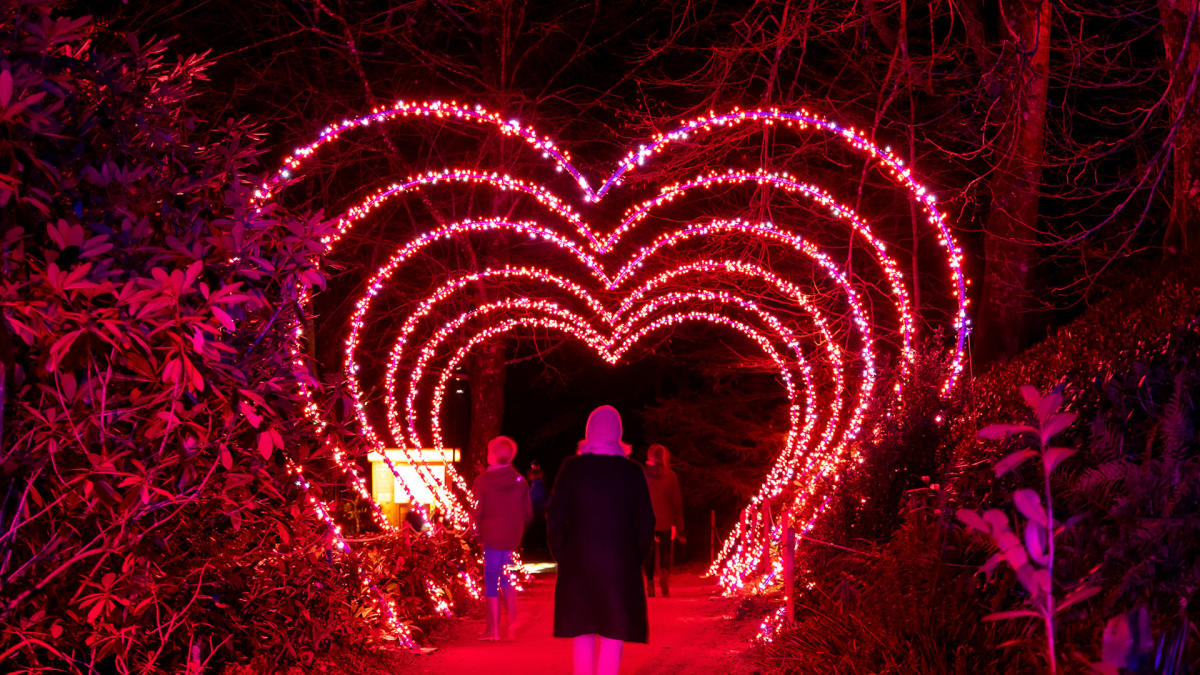 Lightscape San Antonio Botanical Garden