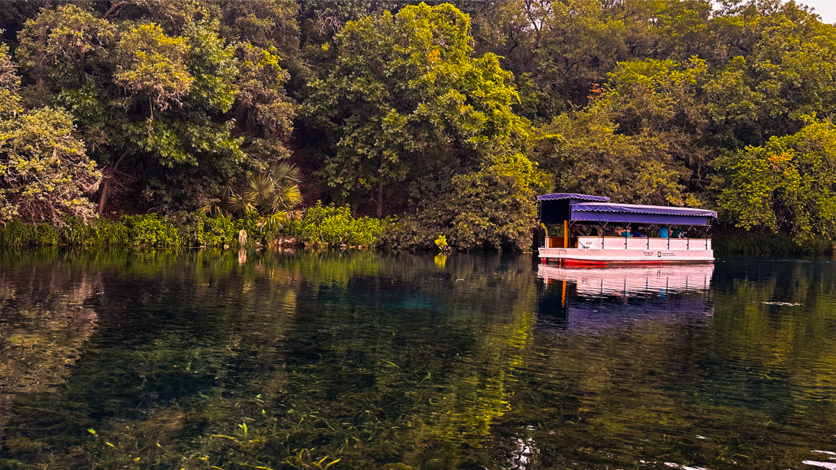 Glass-Bottom Boat Tour at Spring Lake in San Marcos, Texas