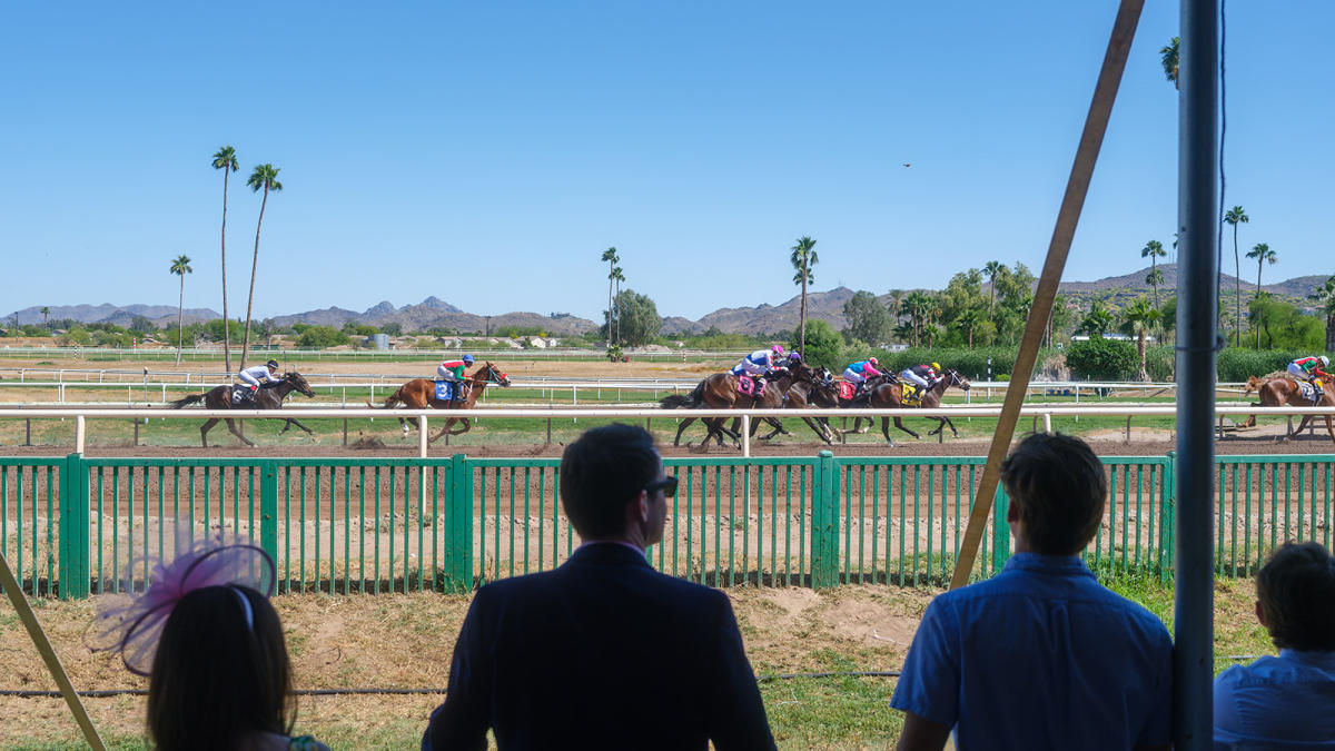 Live Horse Racing at Derby DayClub