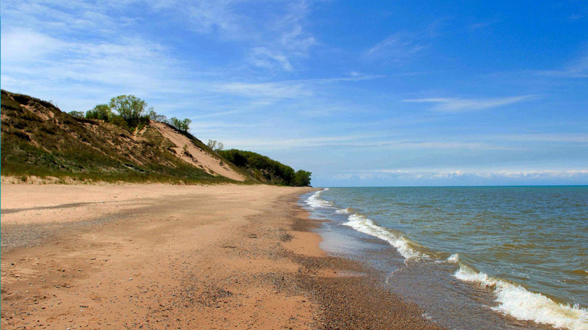 Beach at Indiana Dunes National Park