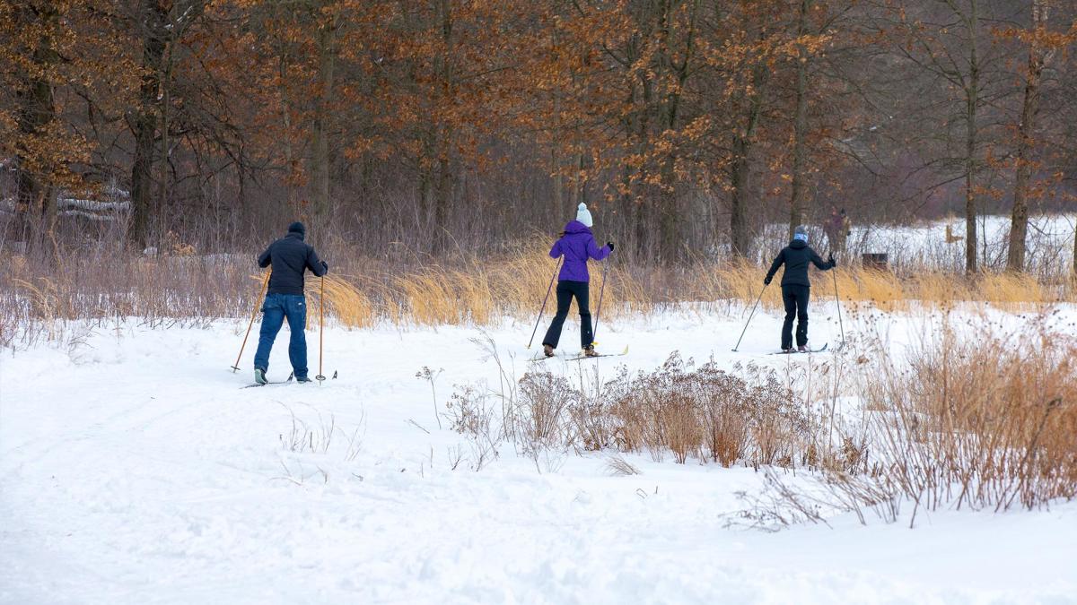 Oak Ridge Prairie Cross Country Skiing