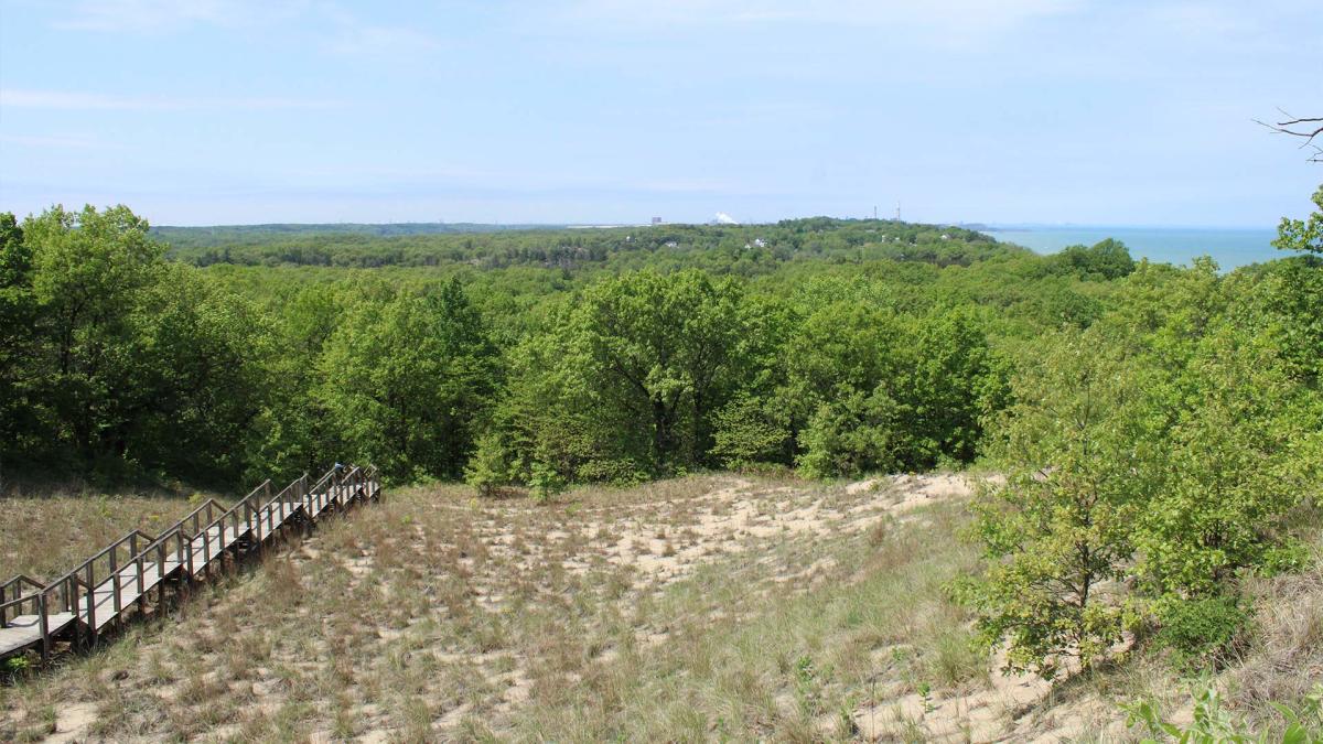 View from Mount Tom Indiana Dunes State Park