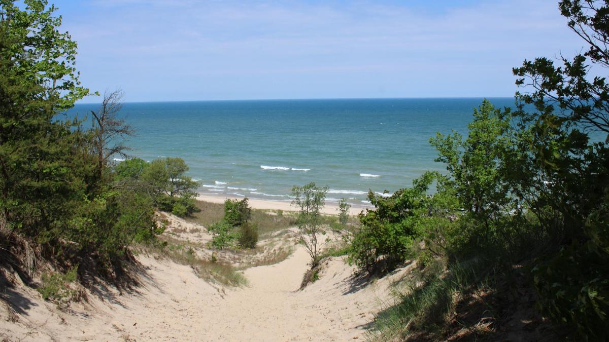 Mount Holden View Indiana Dunes State Park