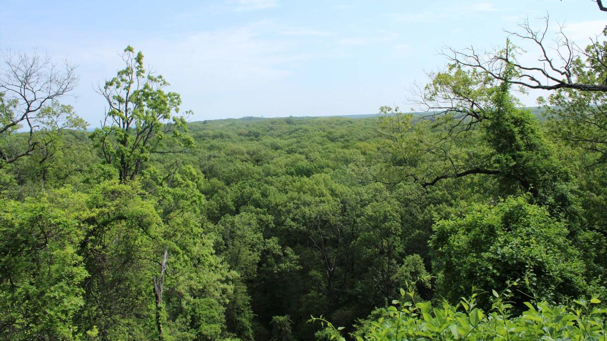 Mount Jackson View Indiana Dunes State Park