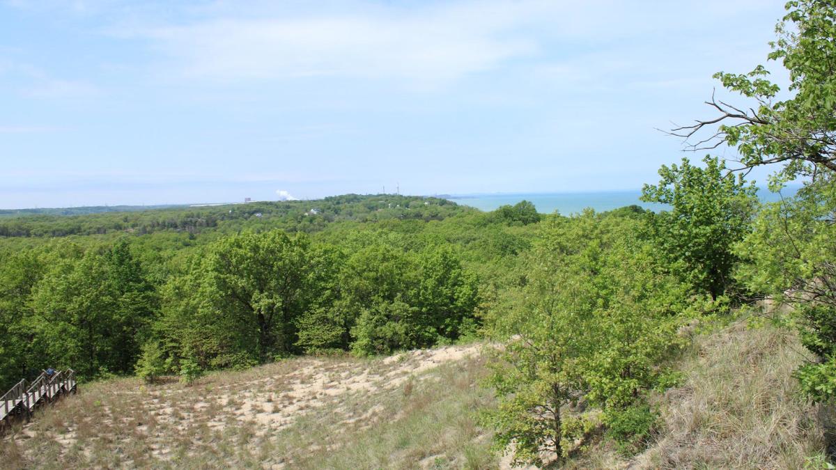 Mount Tom View Indiana Dunes State Park